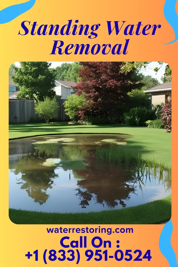 Standing Water Removal in Eudora, AR